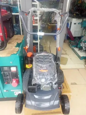 4HP Leo Lawnmower