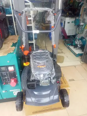 4HP Leo Lawnmower