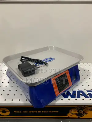 Wadfow Electronic Scale 30kg - Wec1530