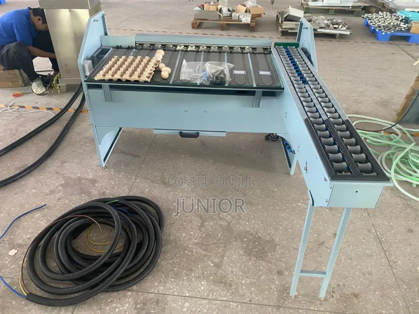 Egg Sorting Machine