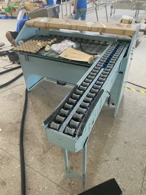Egg Sorting Machine