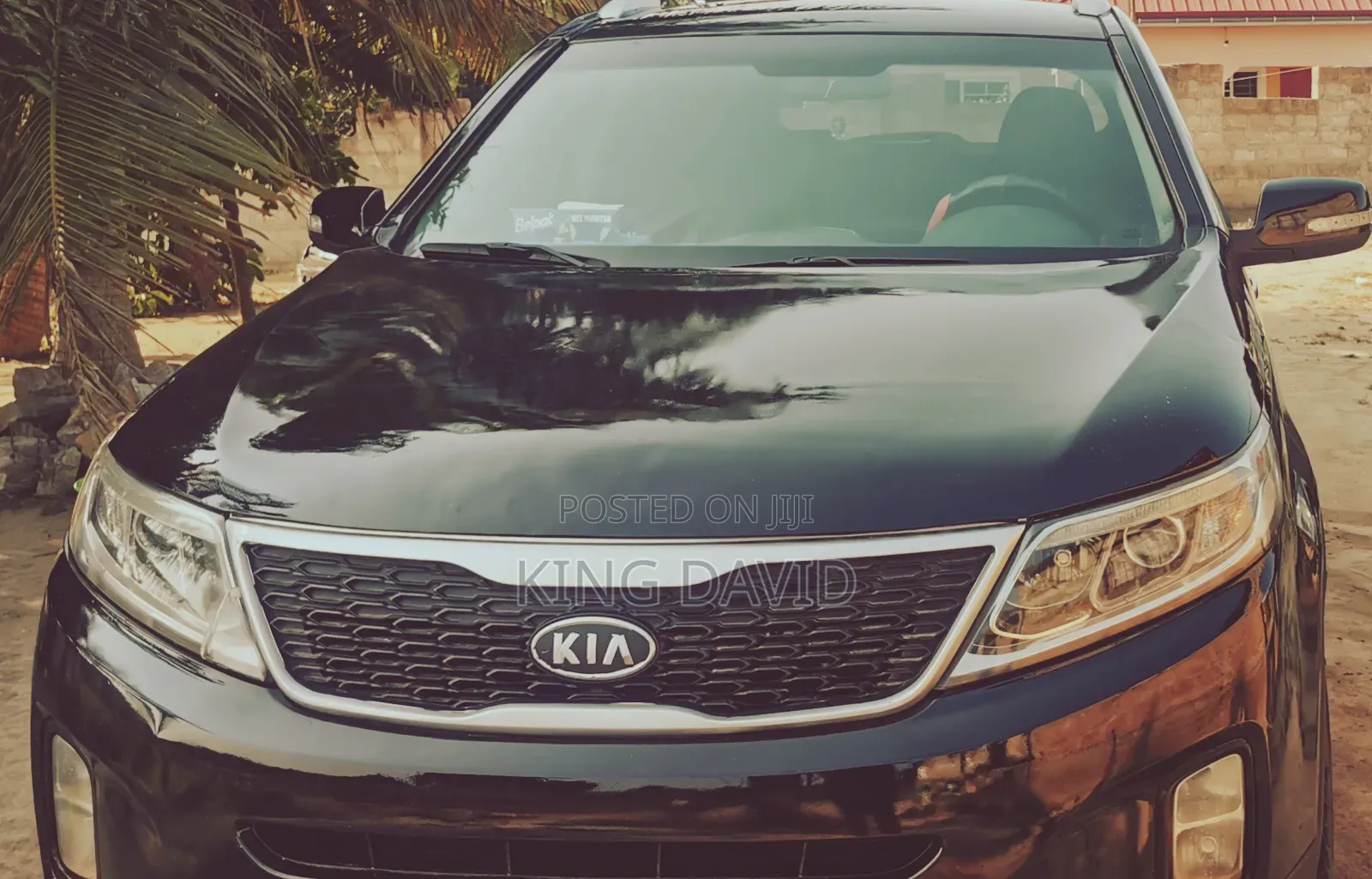 Car Rentals