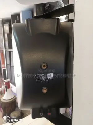Wall Speaker '6'