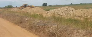 Acquire a Well Demarcated Plot of Land Up for Sale