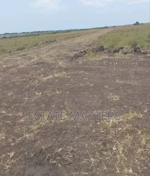 Genuine Lands Situated at Kasoa
