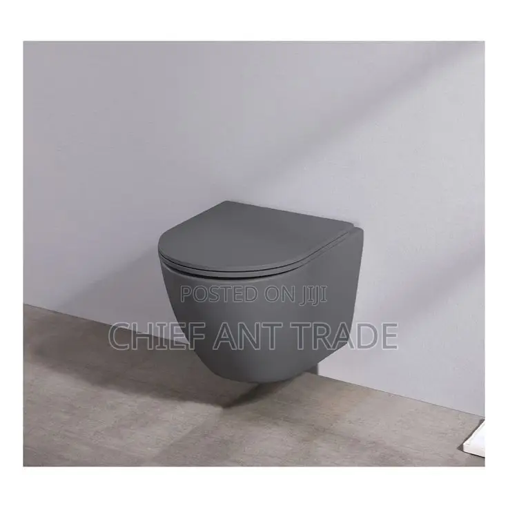 Wall Hung Wc. Concealed Toilet Seat. Wall