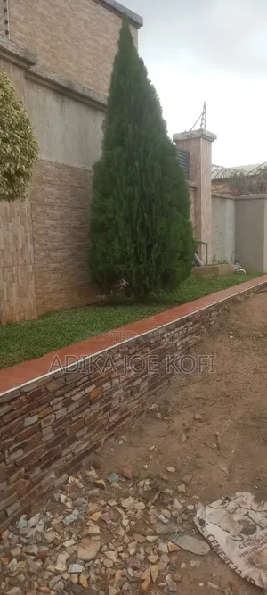 Landscaping and Tilling Work by Joefel Decor