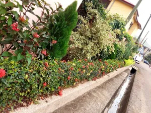 Landscaping and Tilling Work by Joefel Decor