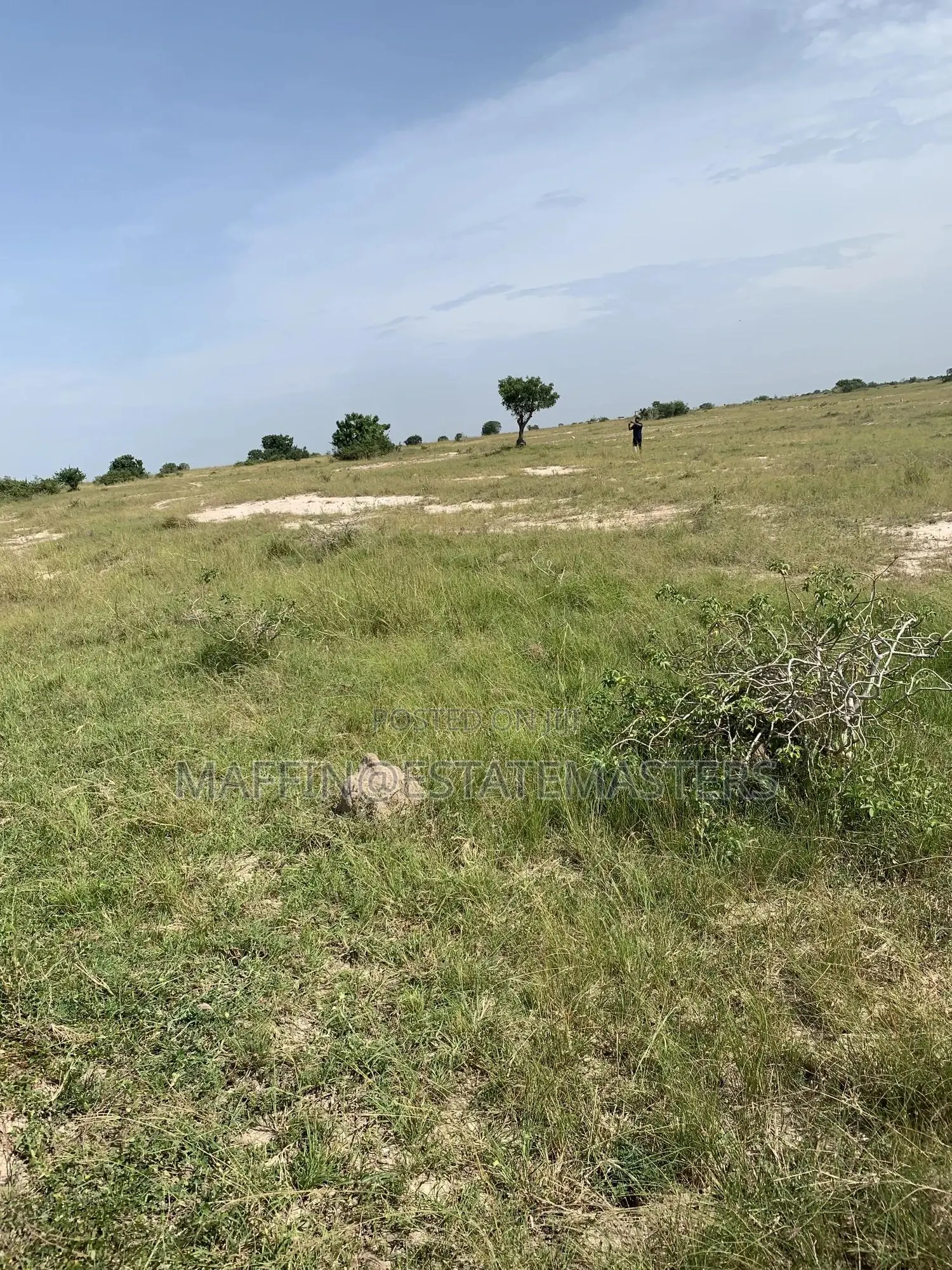 Convenient Land for Sale at Tsopoli Kings Cottage Anex
