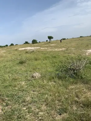 Convenient Land for Sale at Tsopoli Kings Cottage Anex