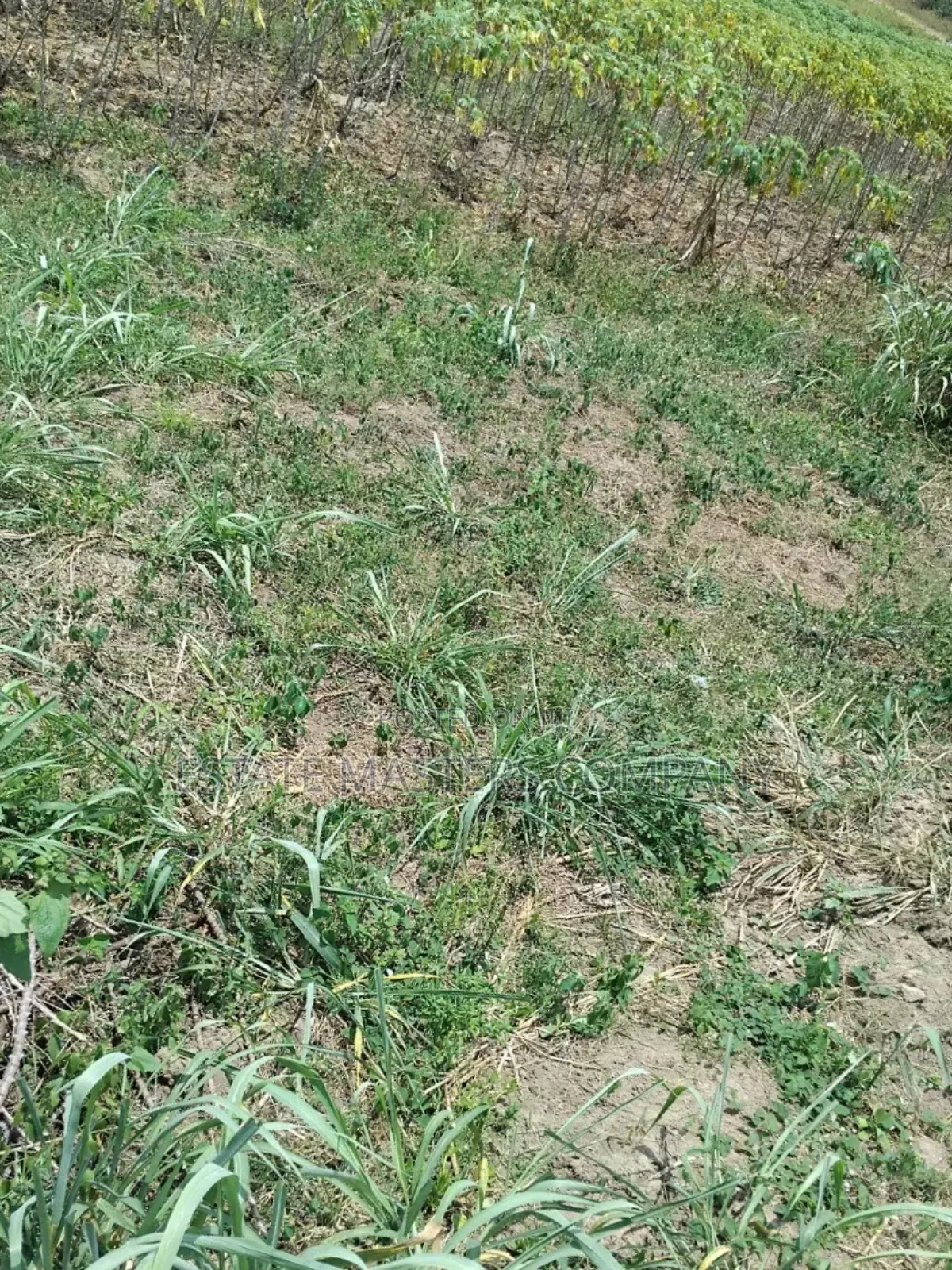 Natural Environment to Build