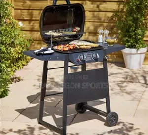 2 Gas Giant BBQ Barbecue Grill With Burner Stove