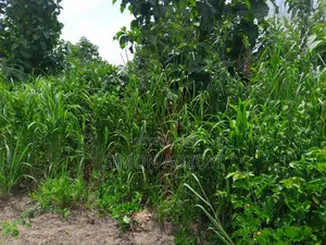 10.000+ Acres of Farm Land for Long Term Lease