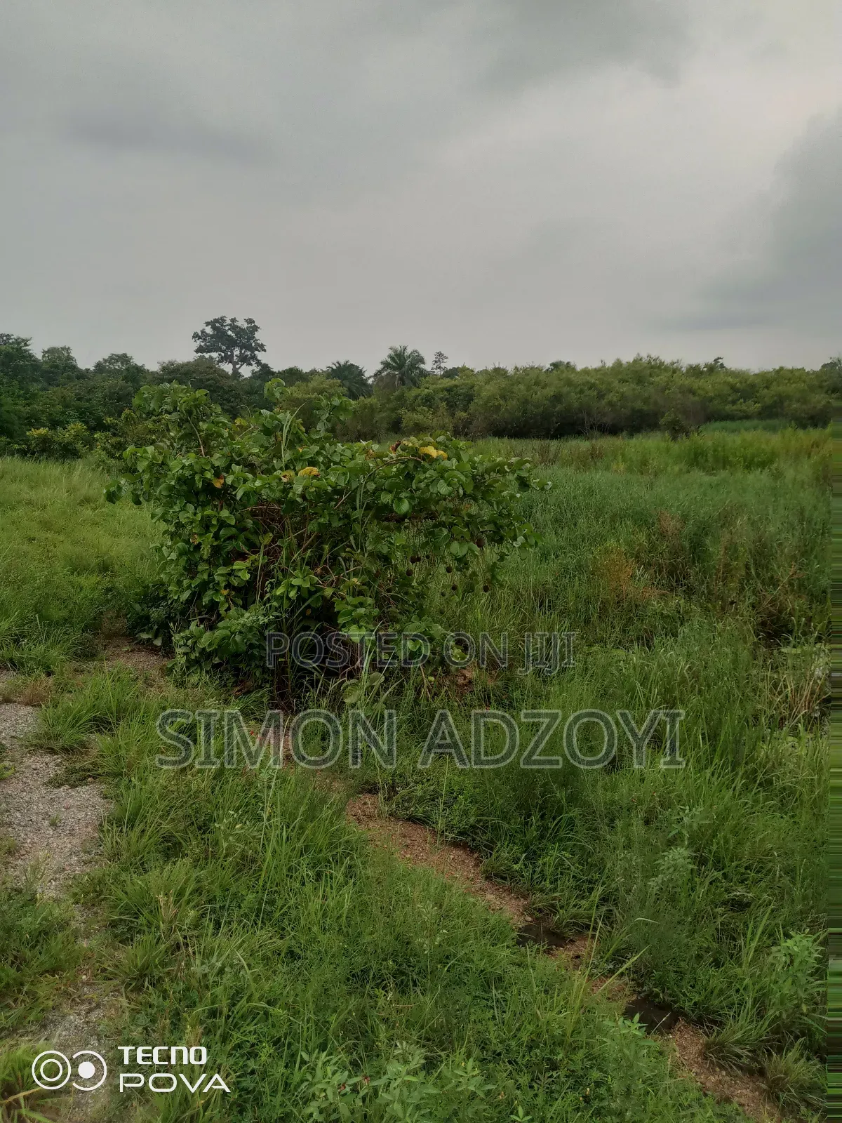 Farm Land For Sale