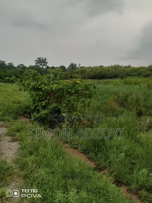 Farm Land For Sale