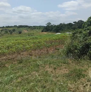 Credible Land at Panfokrom