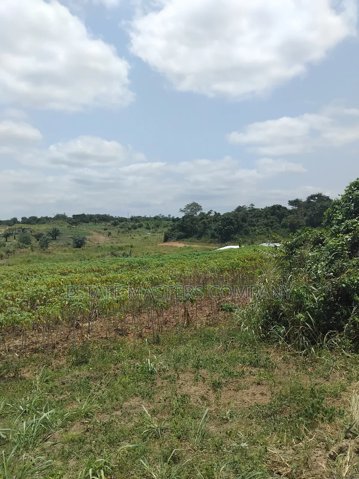 Invest in Land at Panfokrom