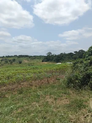 Invest in Land at Panfokrom