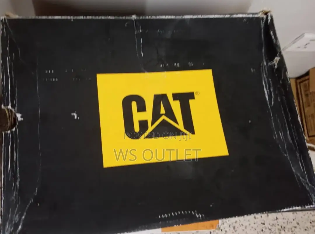 Cat Original Footwear Echo Waterproof Boot From Usa