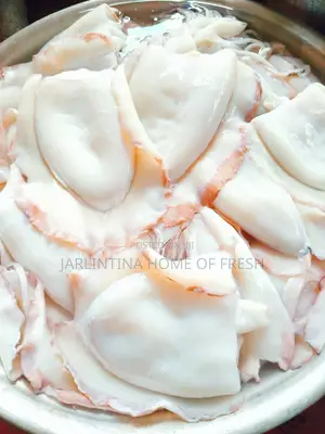 100 Kilos Full Dressed Fresh Squid/Octopus