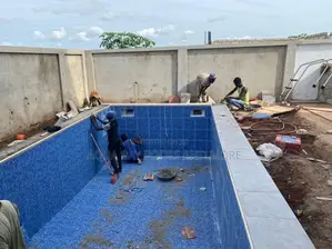 Swimming Pool Expert Available
