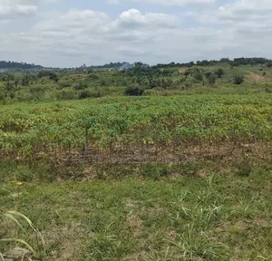 Land in Good Shape