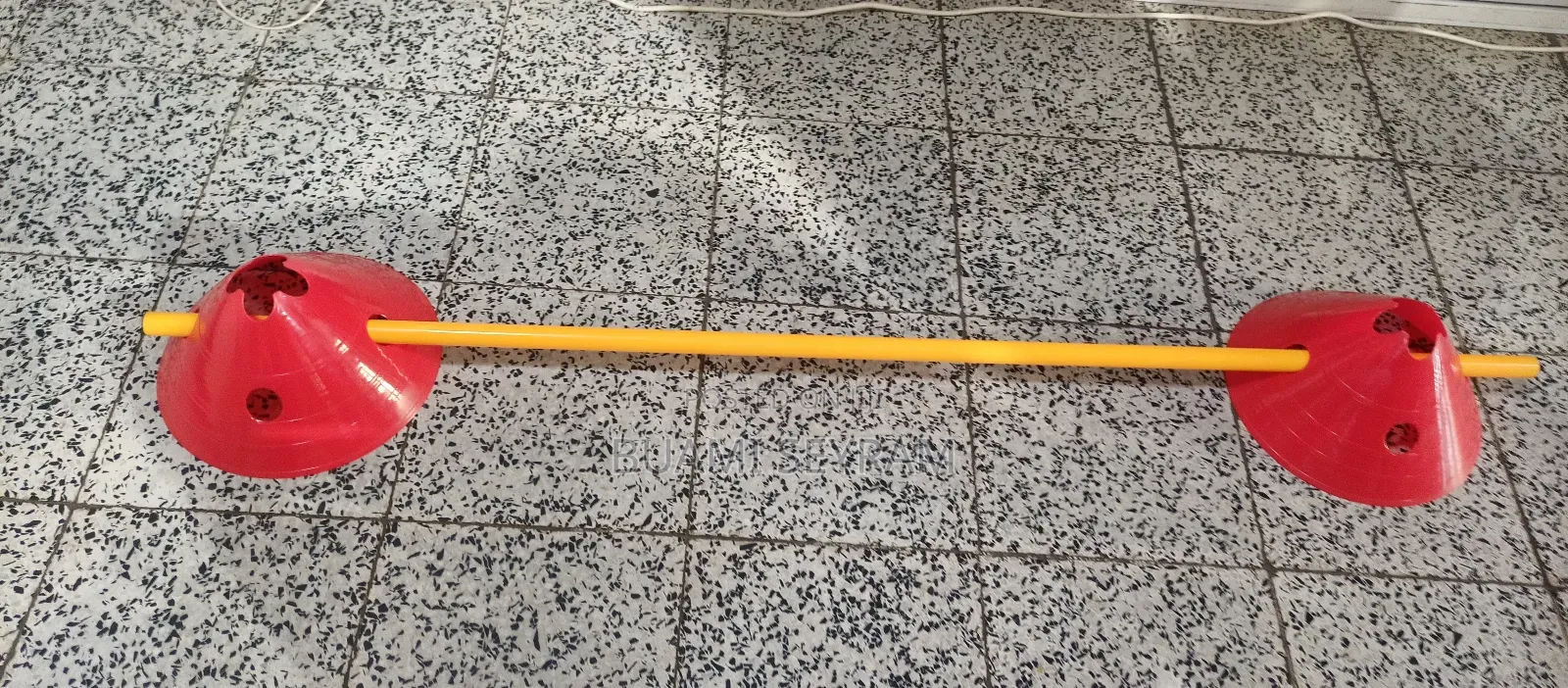 Agility Pole and Cones