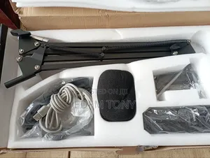 Ansinna Professional Microphone