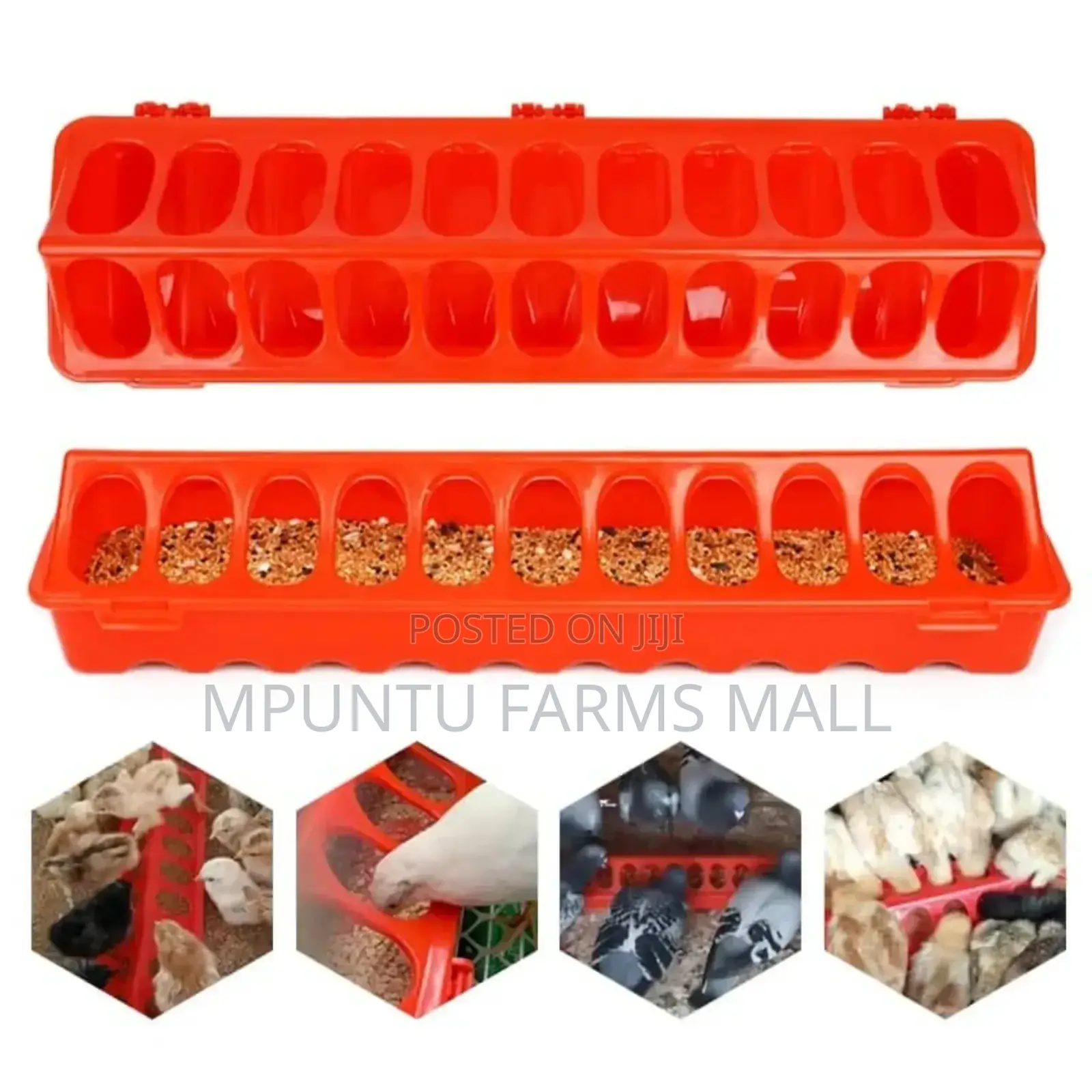 Flip Top Chick Feeder