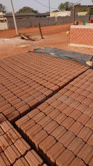 Earth Compressed Interlocking Bricks