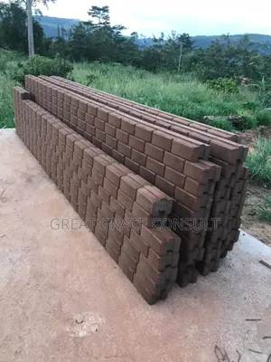 Earth Compressed Interlocking Bricks