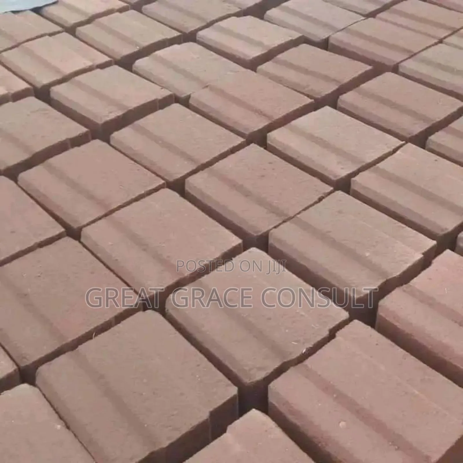 Earth Compressed Interlocking Bricks