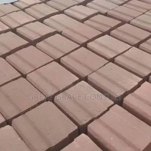 Earth Compressed Interlocking Bricks