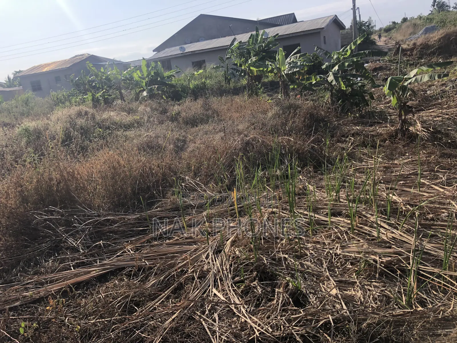 Two Plots of Land for Sale at Gomoa Buduburam