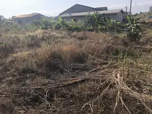 Two Plots of Land for Sale at Gomoa Buduburam