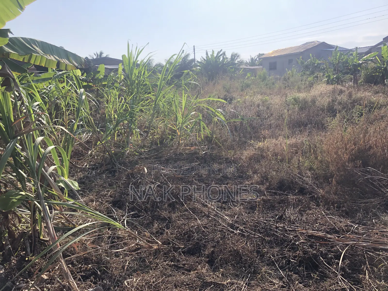 Two Plots of Land for Sale at Gomoa Buduburam