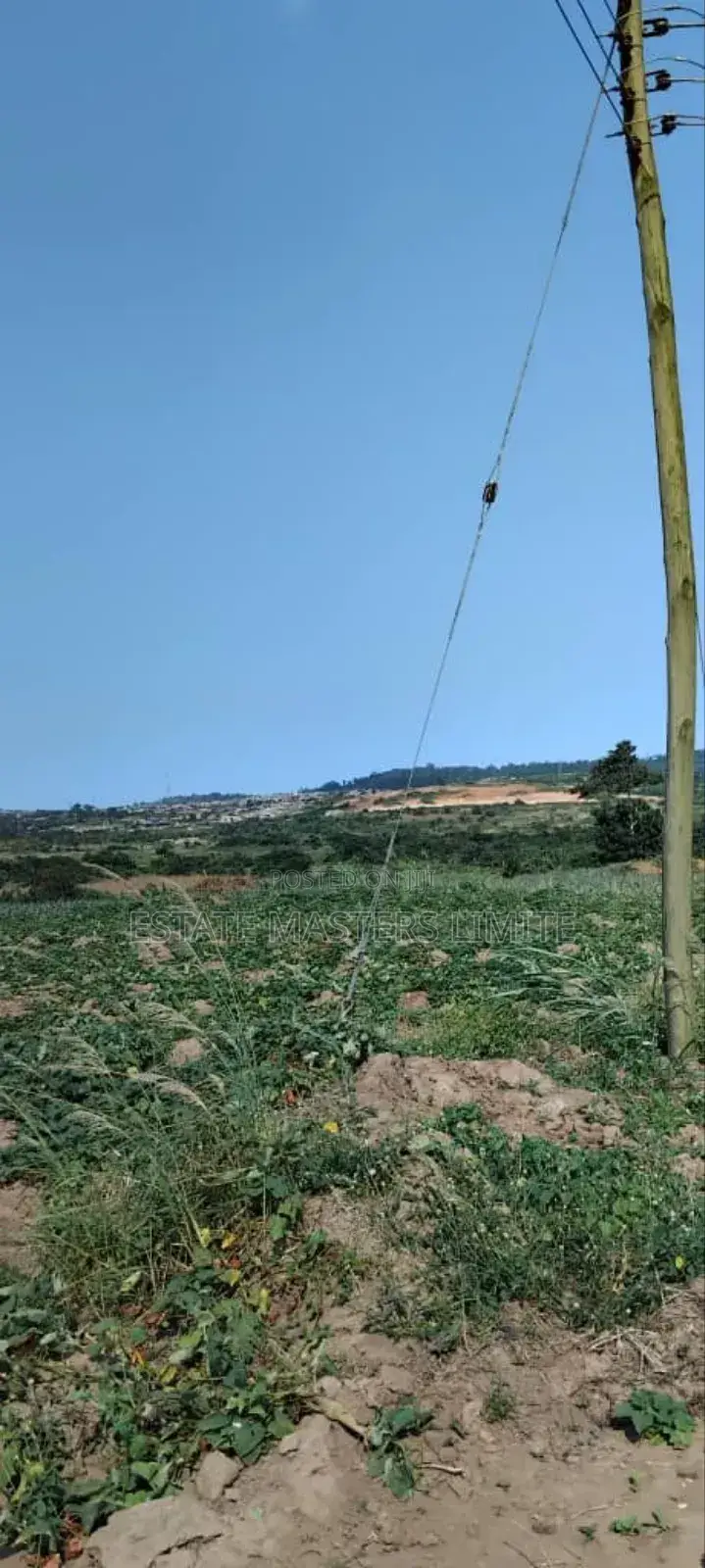 Registered One and Half Plots of Lands for Sale at Dominase