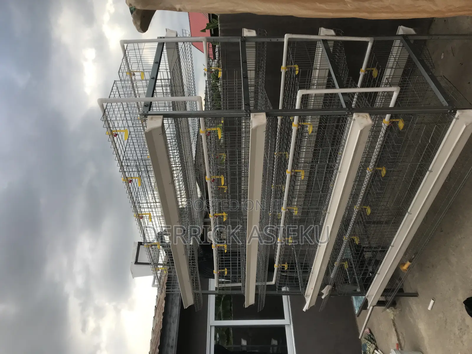 4 Tiers Battery Cage System