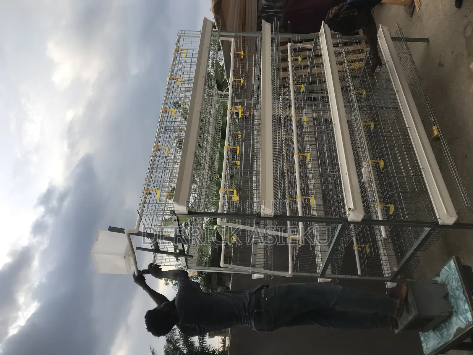 4 Tiers Battery Cage System