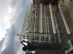 4 Tiers Battery Cage System