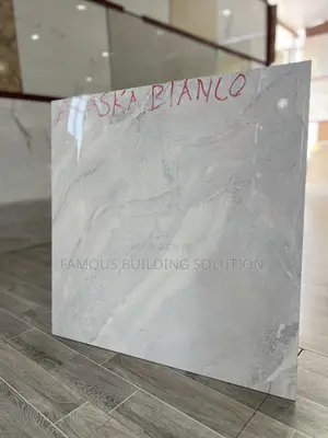 Porcelain Made in India Floor Tiles