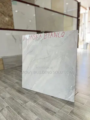 Porcelain Made in India Floor Tiles
