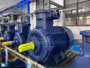 15hp (11kw) Explosion Proof Electric Motor – Frameproof –  Motor