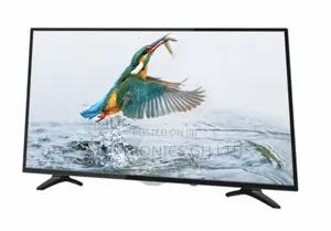 Purchase Best 43 Inch Asano Satellite Digital LED Tv