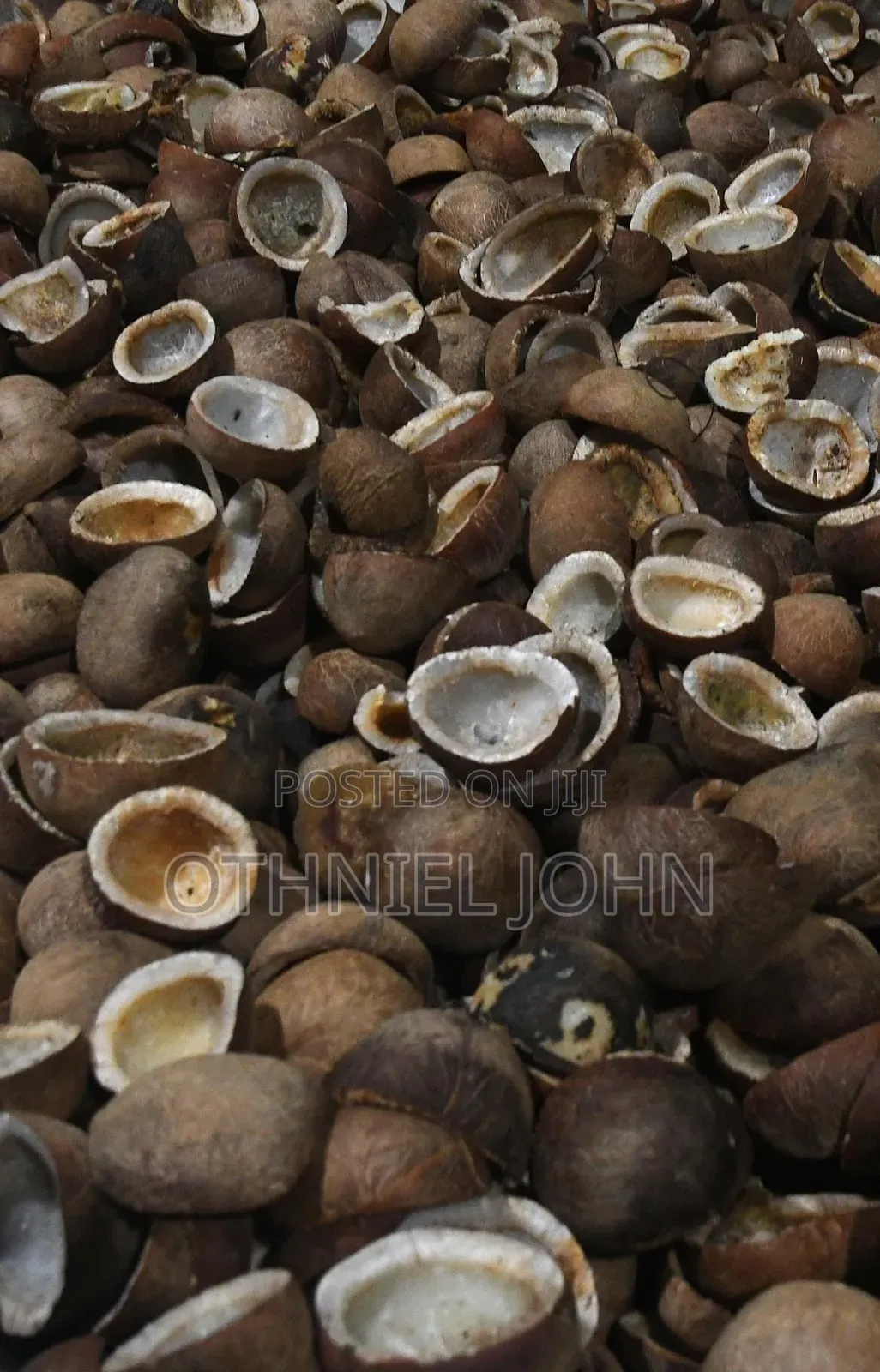 Copra for Sale in Bulk