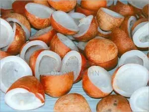 Copra for Sale in Bulk