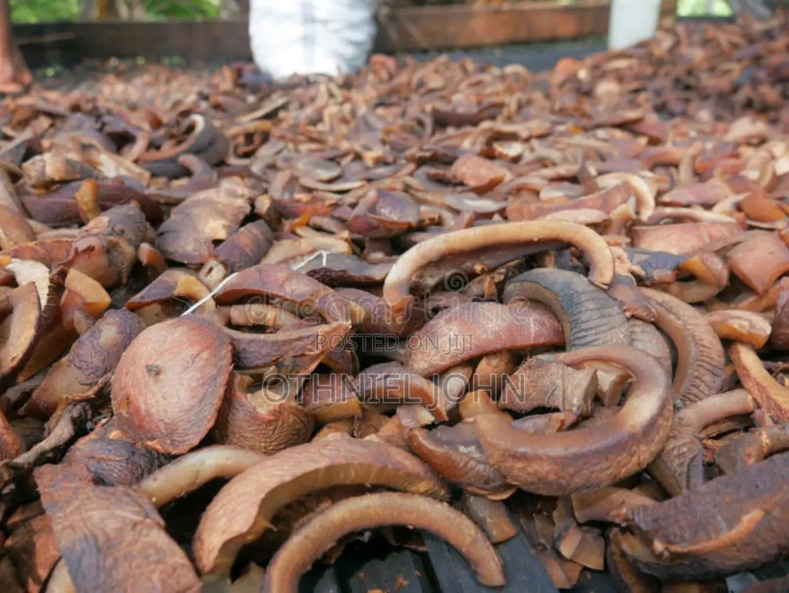 Copra for Sale in Bulk