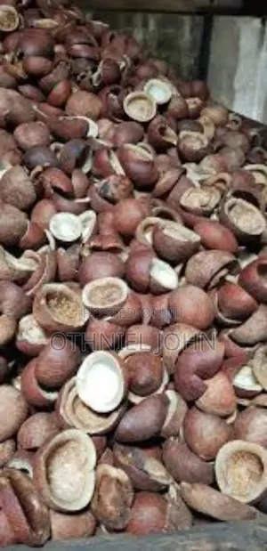 Copra for Sale in Bulk