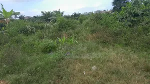 Plot for Sale at Race Course Down