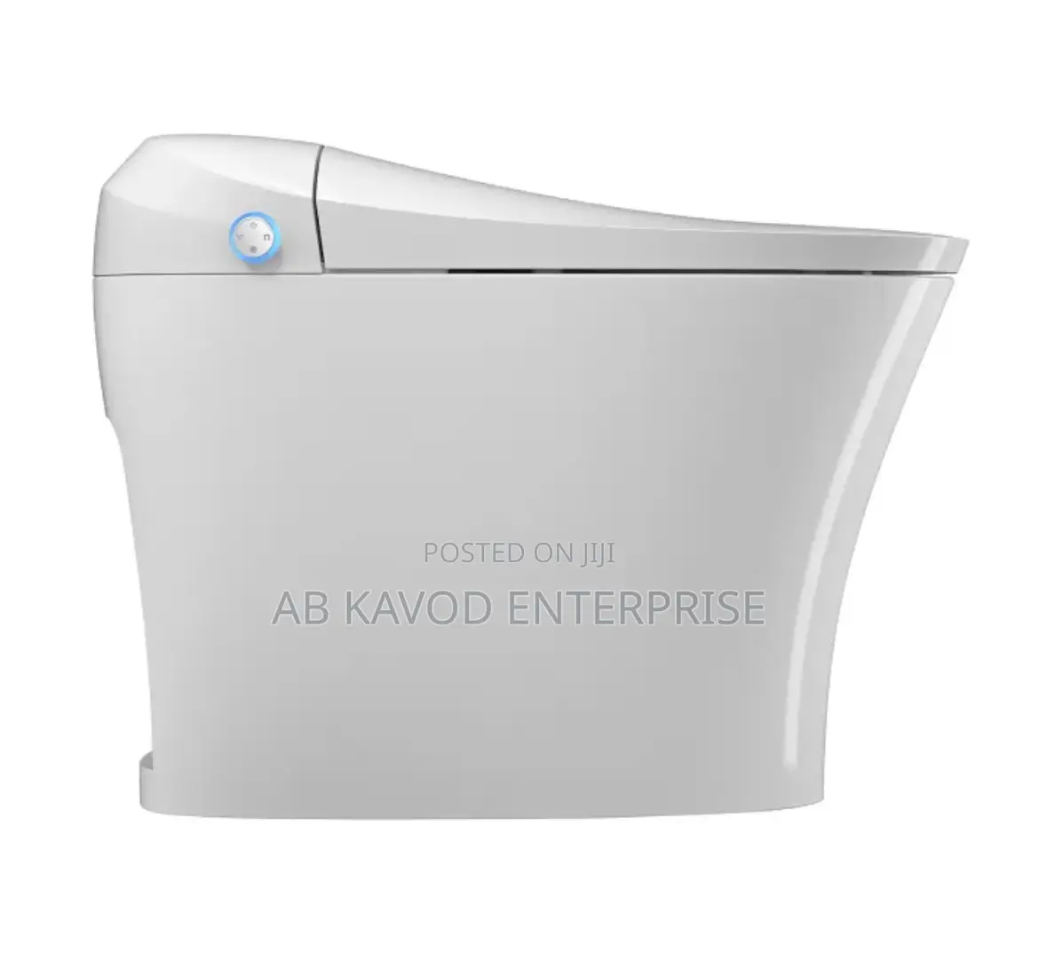 Smart Toilet Seat